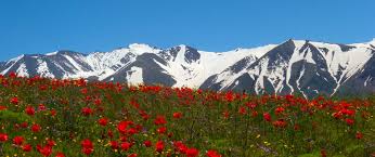 Jabaǵylynyń demalýshylary jabyrqaý