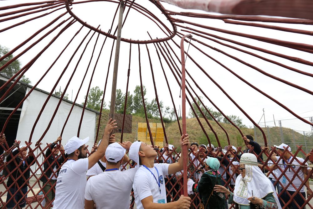 Assambleıanyń ıgi jobasy