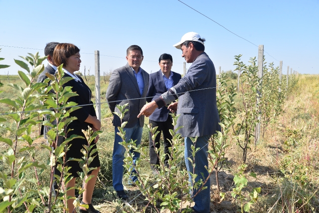 Otyrarda shaǵyn bıznes damyp keledi
