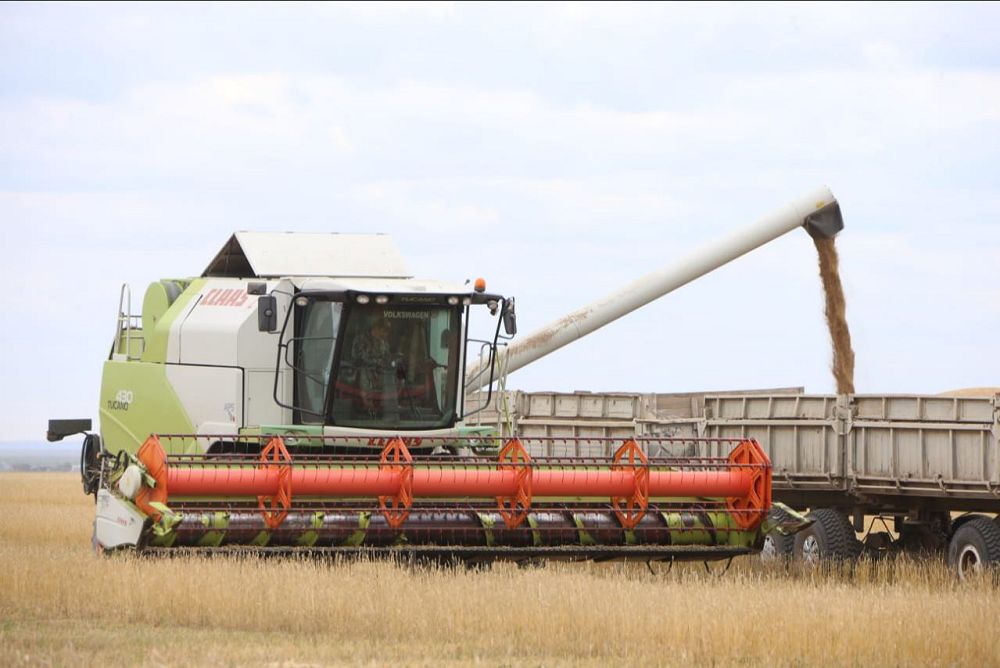 Dıqandar damyl tappaıtyn maýsym