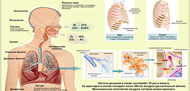 Juqpaly aýrýlar boıynsha jaǵdaı turaqty