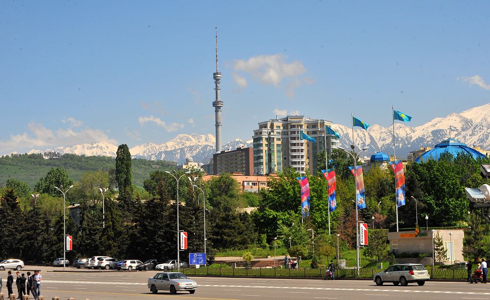 Taý bókterindegi tanysý