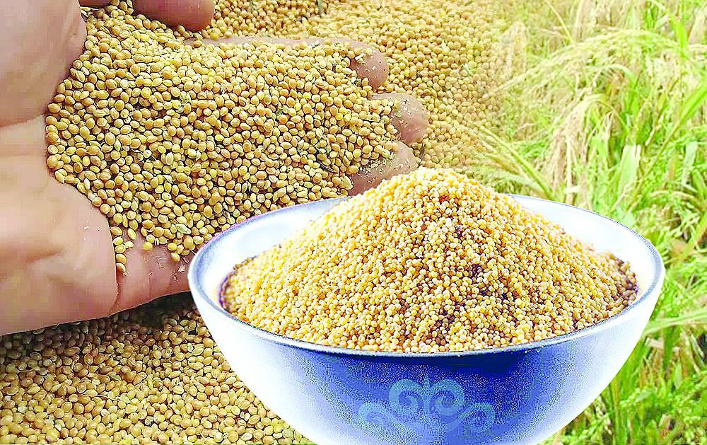 Oıyl qaıda burynǵy?!