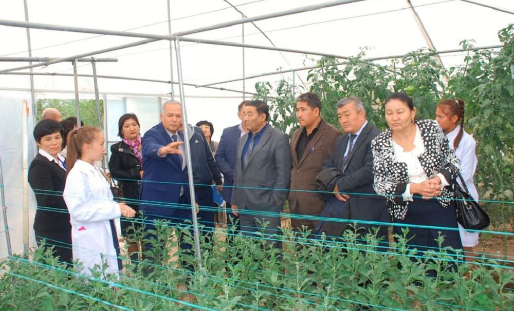 Abattandyrýǵa atsalysyp júr