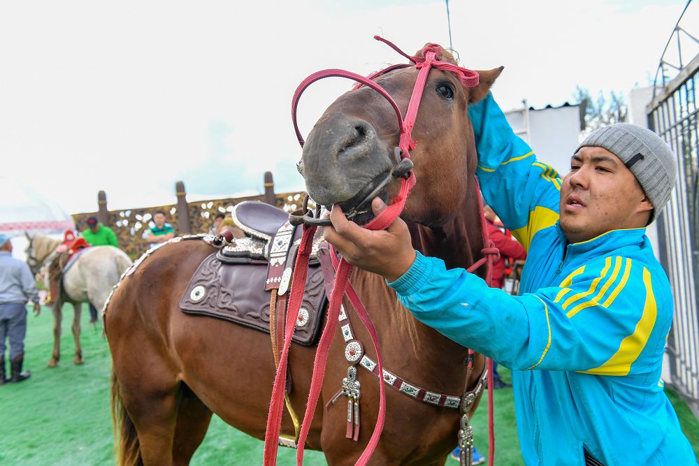 Alamanǵa at qossań, bapty bolsyn