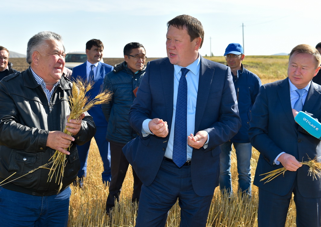 Soltústik Qazaqstanda bıdaı ónimdiliginiń jańa rekordy tirkeldi