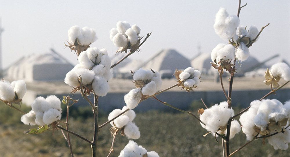 Maqta kóbelegine mán berilse...