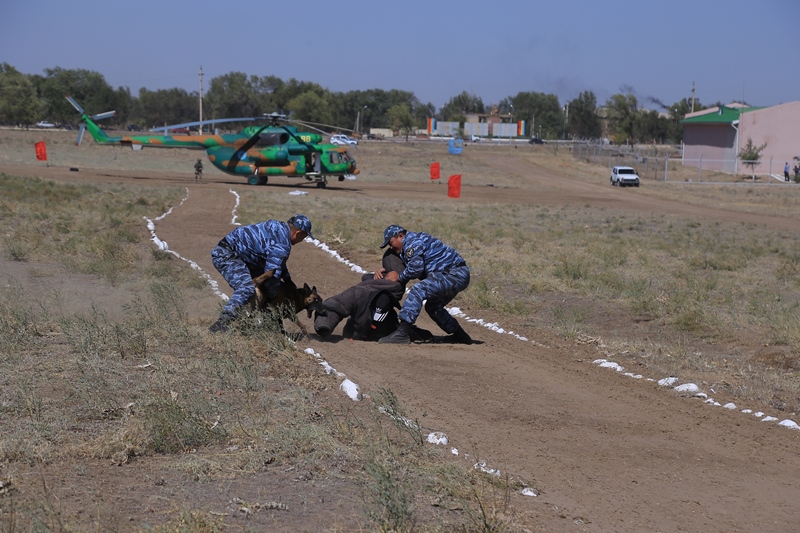 Toǵyz tonna esirtki tárkilendi