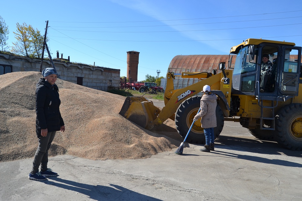 Dıqandar qarbalas ústinde