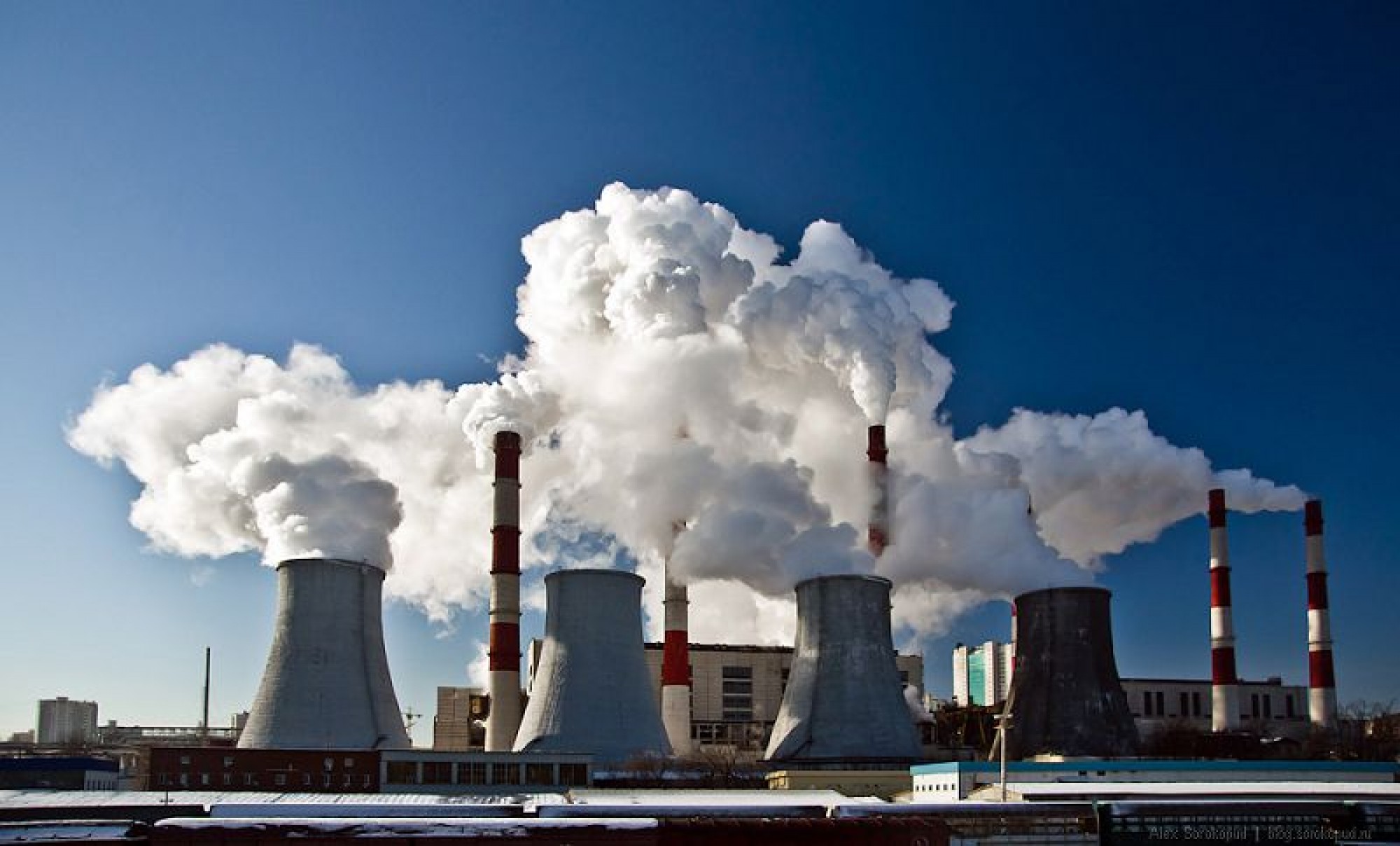 Petropavlda jylý berý maýsymy bastaldy       