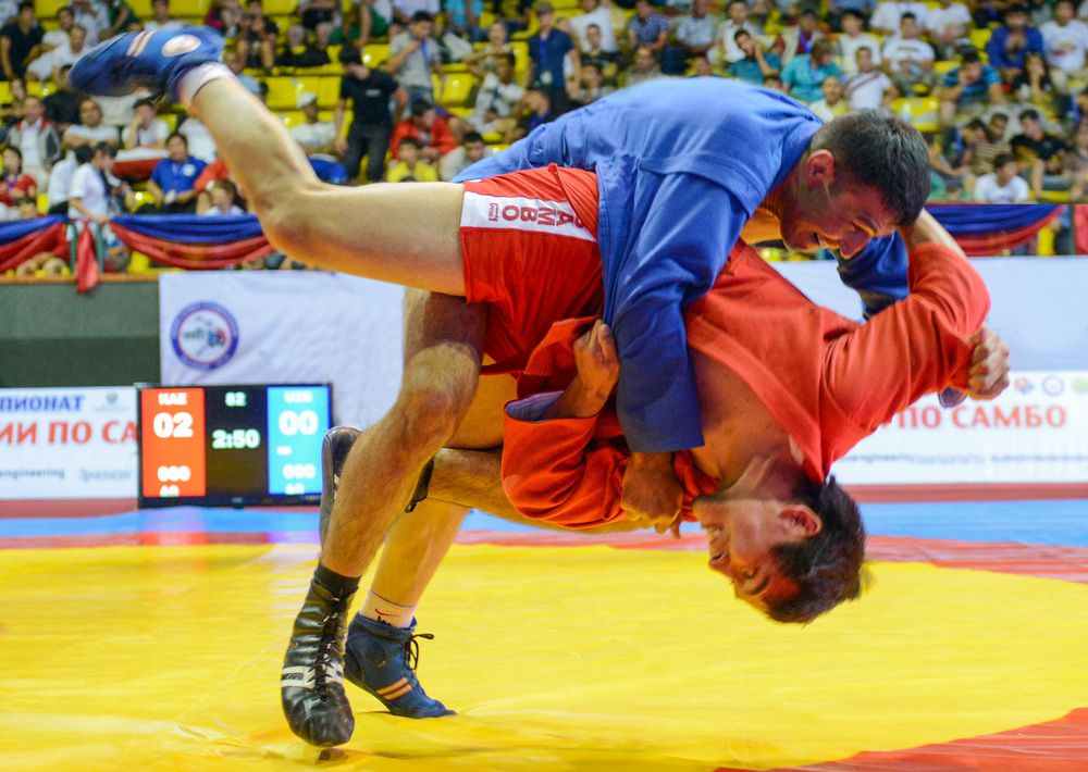 Balýandar Býhareste baq synaıdy