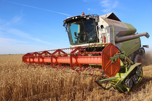 О́nimdi nesıeleý