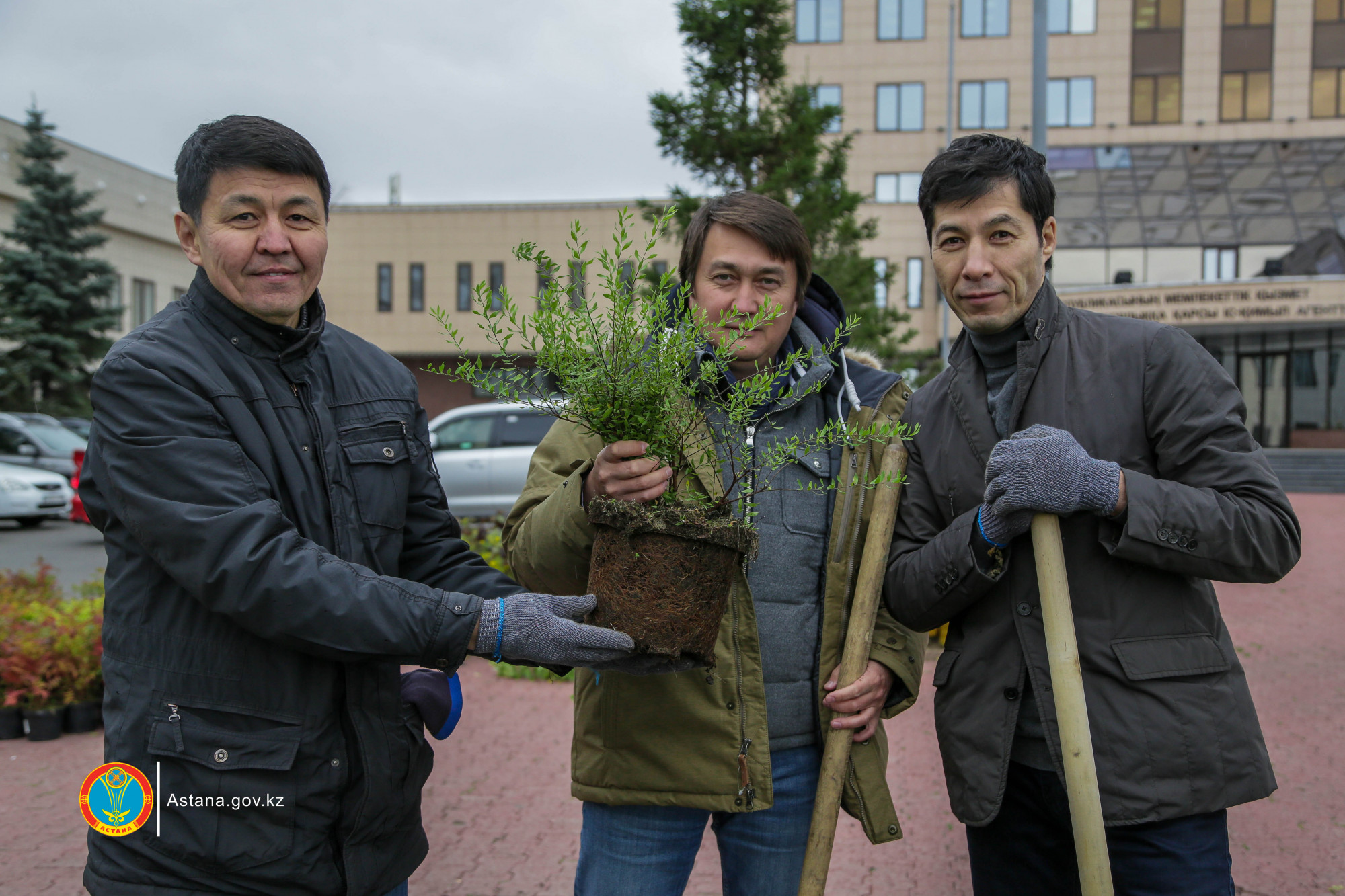 Jalpyqalalyq senbilikte 9 myńnan astam aǵash egildi