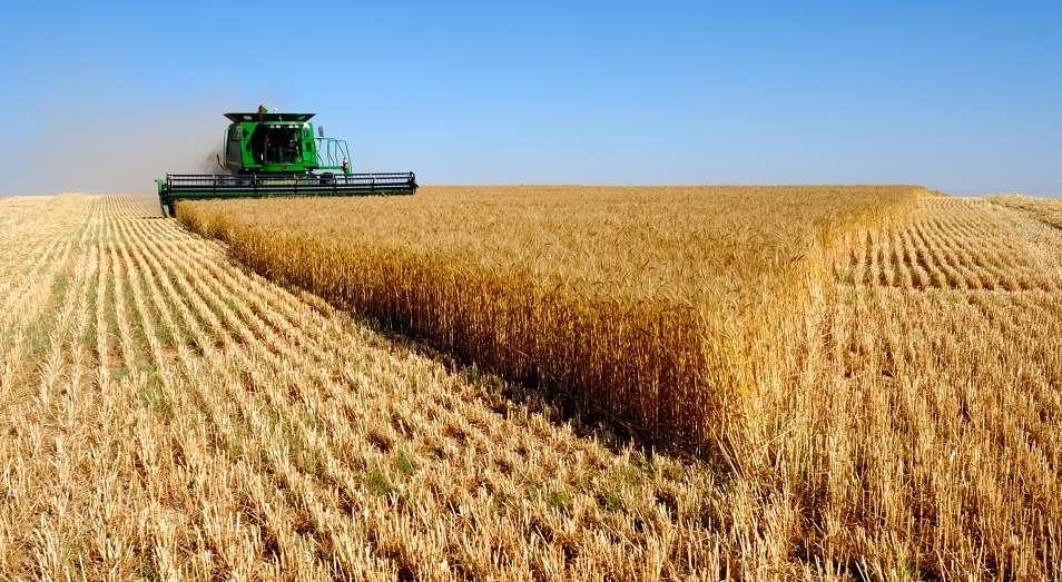 Toǵysharlyq meńdegen aýyl