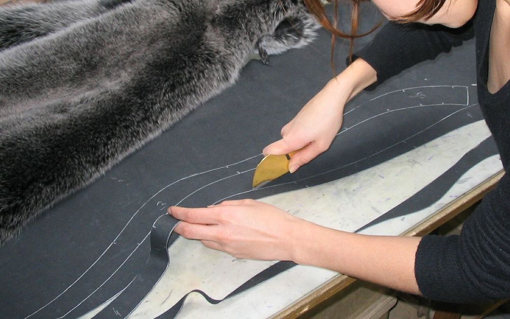 Teri eksportyna shekteý qoıylady