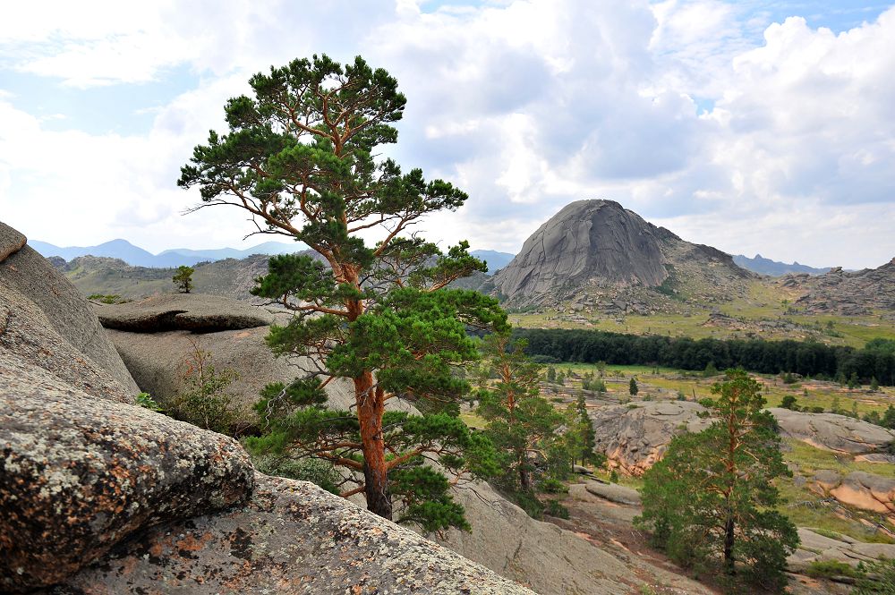 Týǵan jerin súıe almaǵan, súıe alar ma týǵan elin?