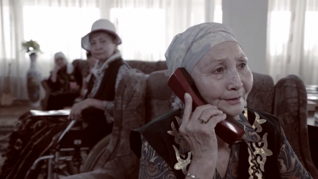 Ardagerlerge aqyly pansıonat salynsa