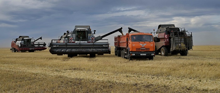 Pavlodar oblysynda astyq jınalýda 