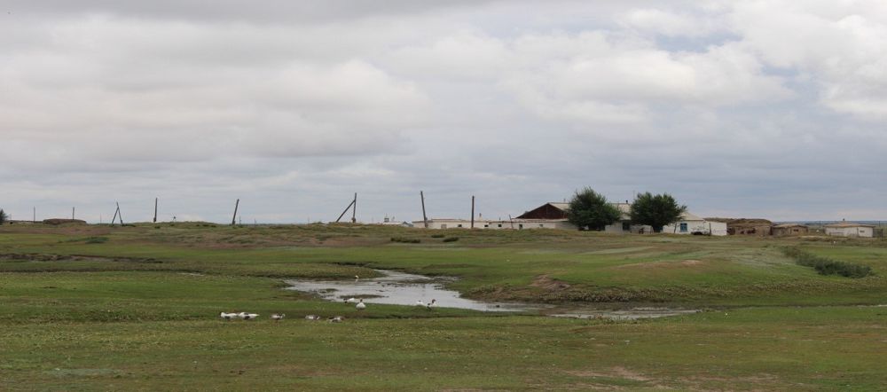 Egindikóldegi eleýge turarlyq jádigerler