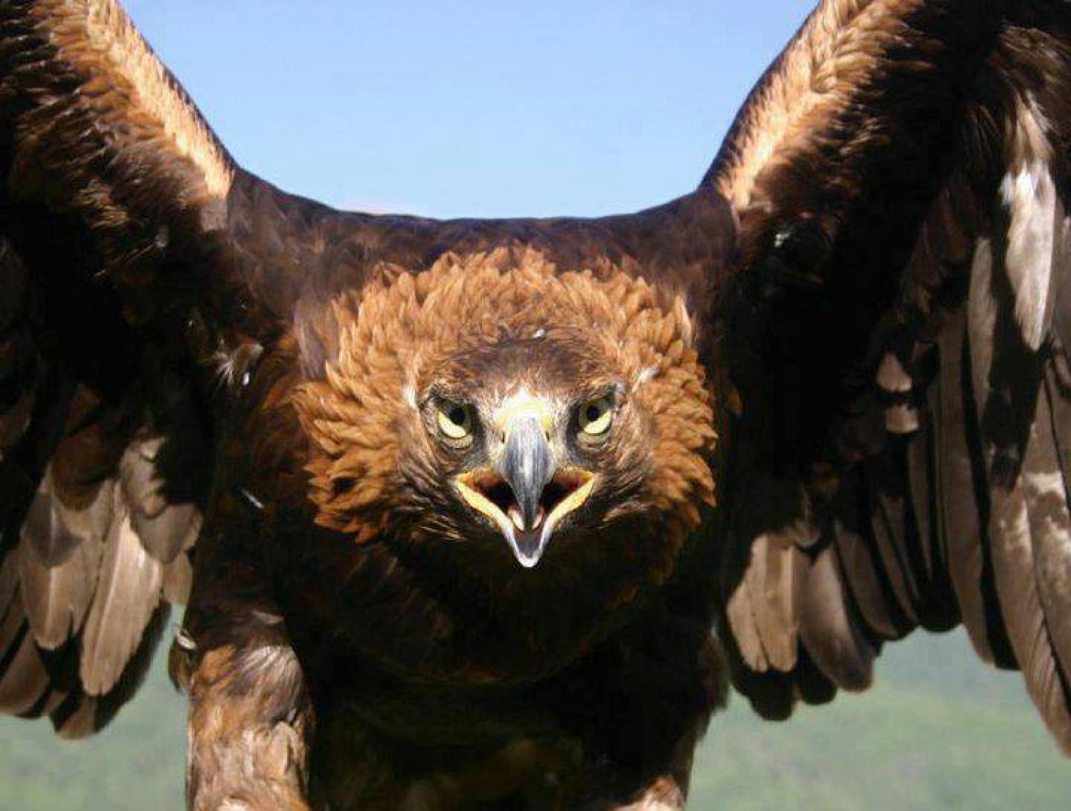 Búrkitke baılanysty aıtylyp, ulttyq uǵymǵa aınalǵan keı sózder týraly