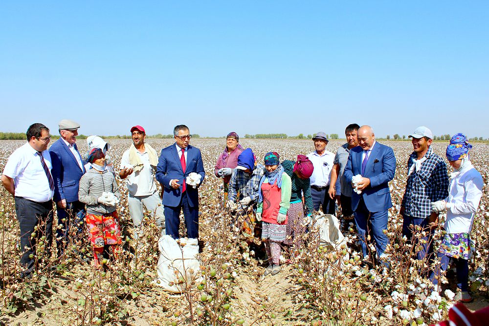 Maqta baǵasy boıynsha básekelestik joq