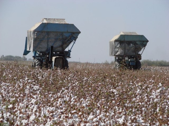 Maqtanyń baǵasy 180 teńge bolyp bekitildi