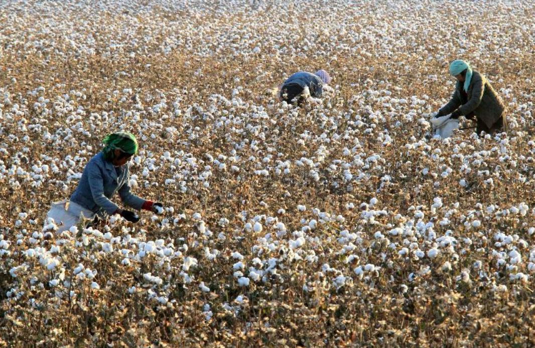 Maqtanyń baǵasy ósti