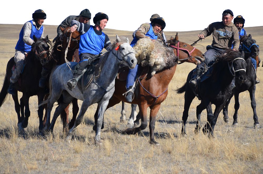 Kókpektide kókparshy kóp