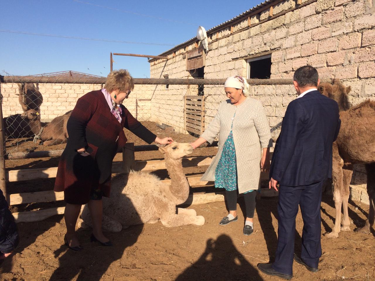 Nurotandyqtar memlekettik nesıe baǵdarlamasymen qarjylanǵan sharýa qojalyqtarymen tanysty