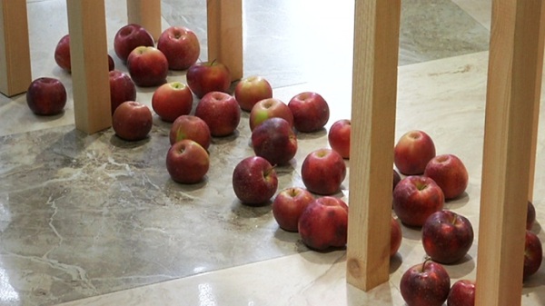 Almatyda alma mýzeıi ashyldy