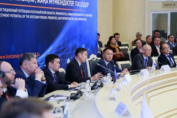 Investor taqyr jerge kelmeıdi