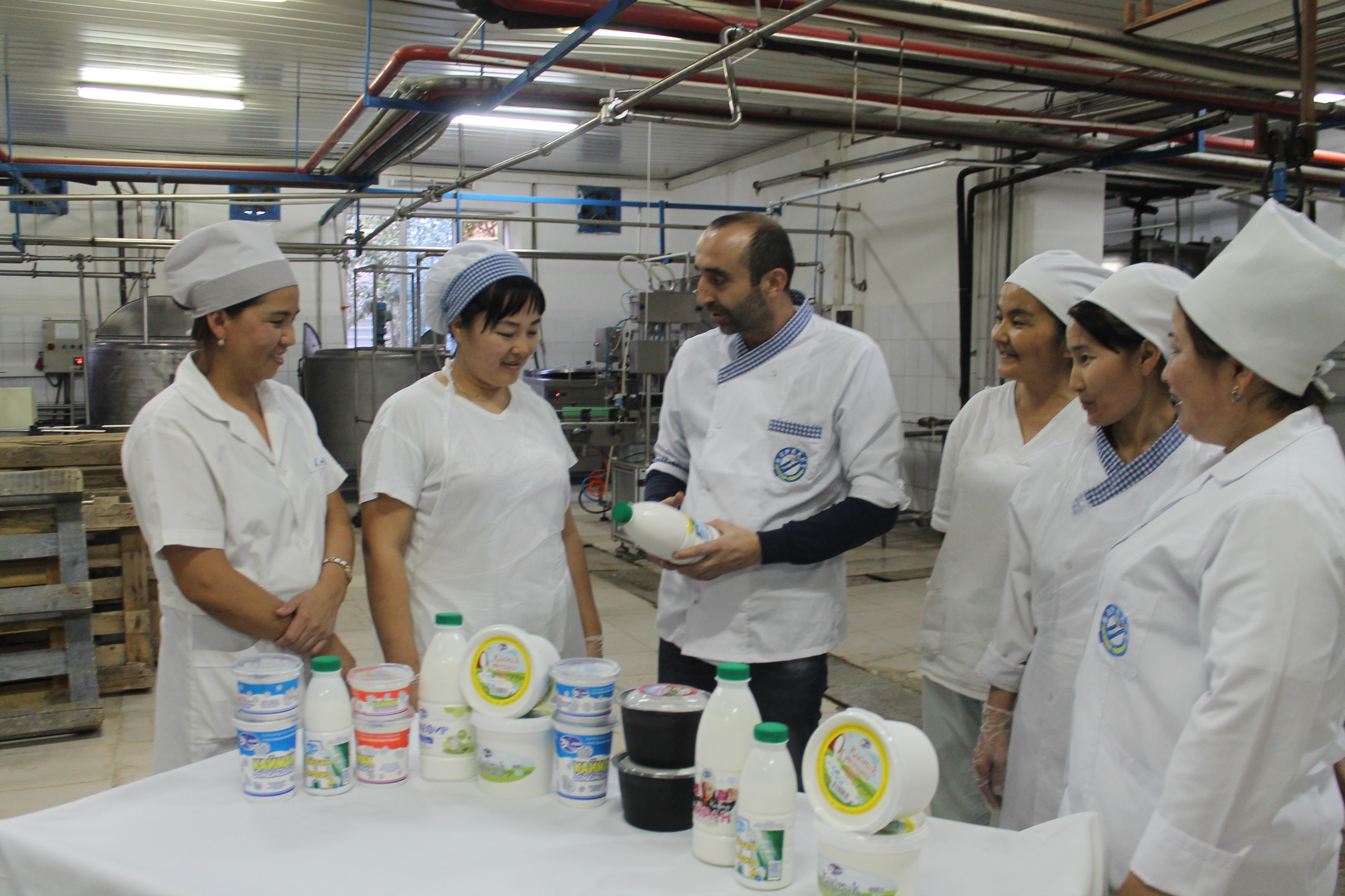 Túrik tehnology sút óndirýdiń tyń ádisin úıretti