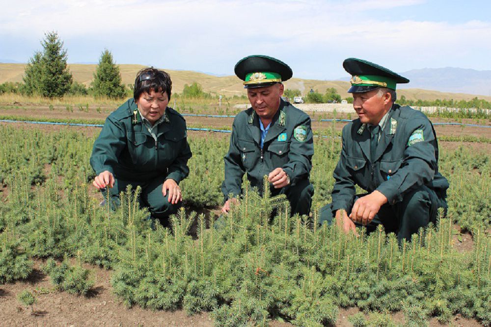 Kegen ormany – tabıǵattyń qorǵany