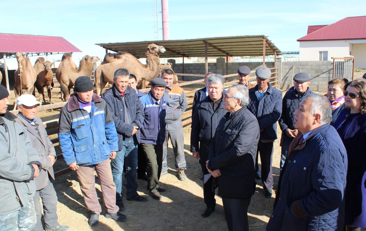 Parlamenti Májilisiniń depýtattary Syrdarııa aýdanyna qarasty «Besaryq» eldi mekeninde boldy