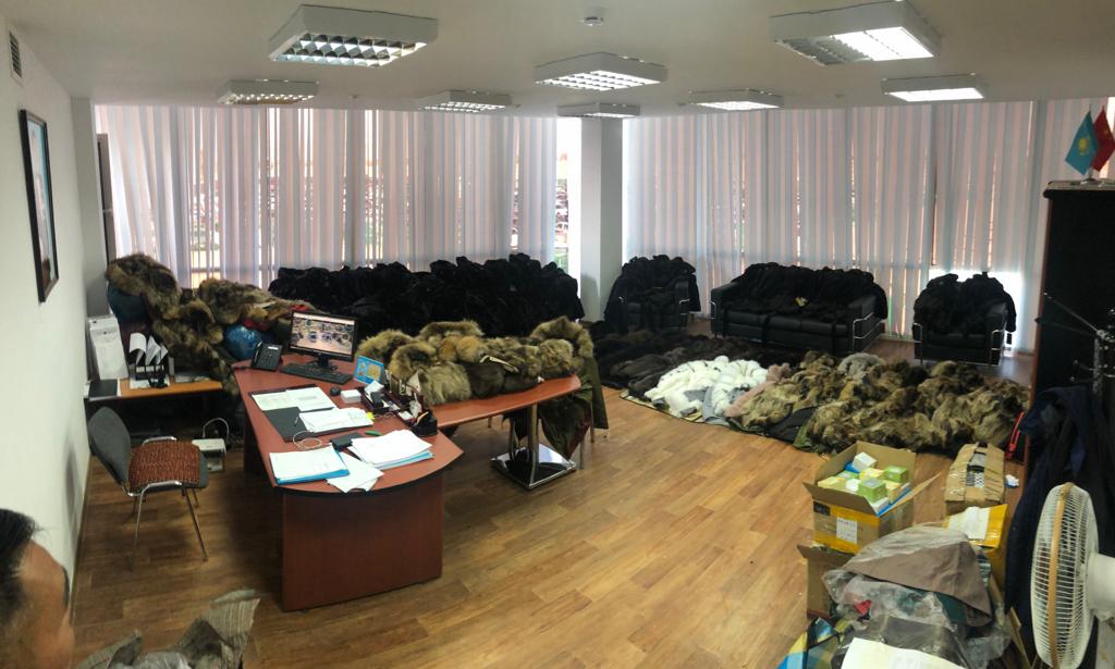 «Qorǵastan» qundyz kıimderdi jasyryp alyp ótpekshi boldy