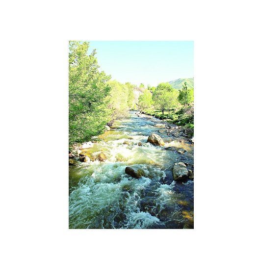 Qumdaǵy altyn qabyrshaqtar syry