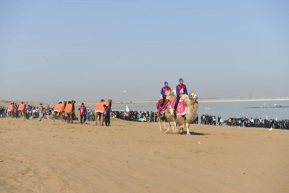 Shardara jaǵajaıy shaqyrady