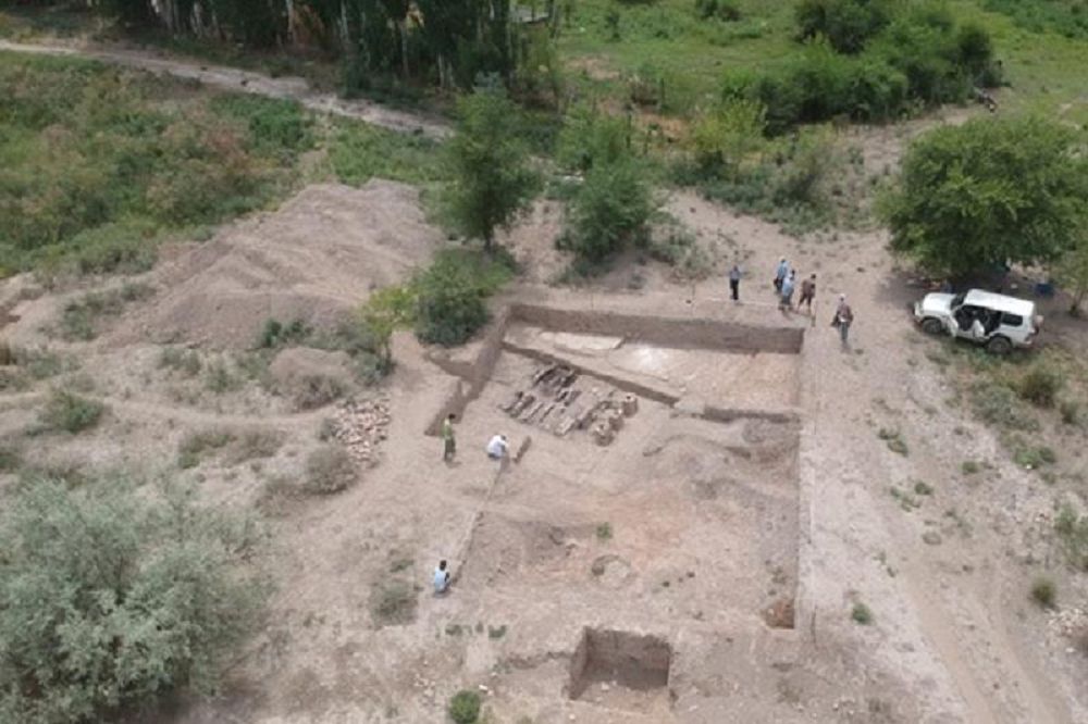 Káriz júıesi kári qurlyqqa Uly Daladan barǵan ba?