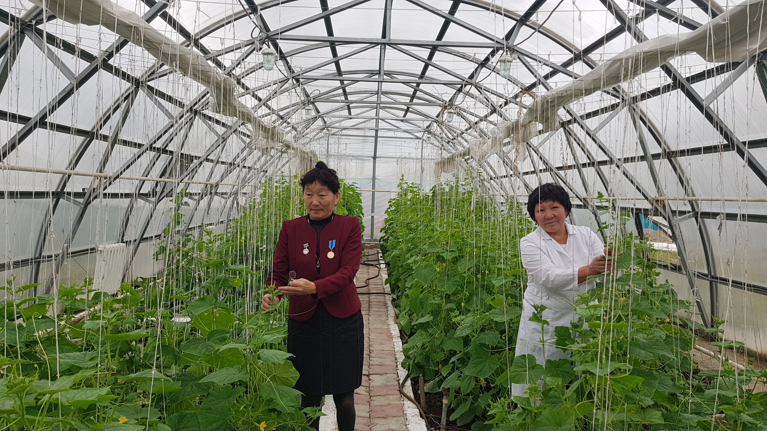 ShQO-nyń Tarbaǵataı aýdanynda jylyjaılary bar balabaqsha jumys isteıdi