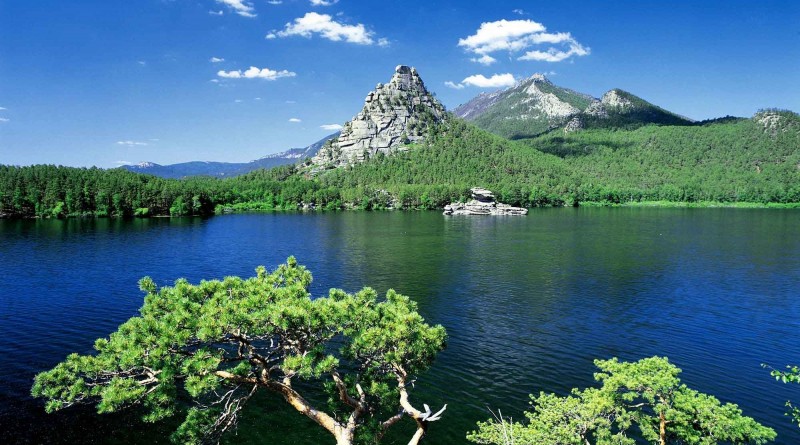 Mektep týrızmi eldi súıýge  bastaıdy