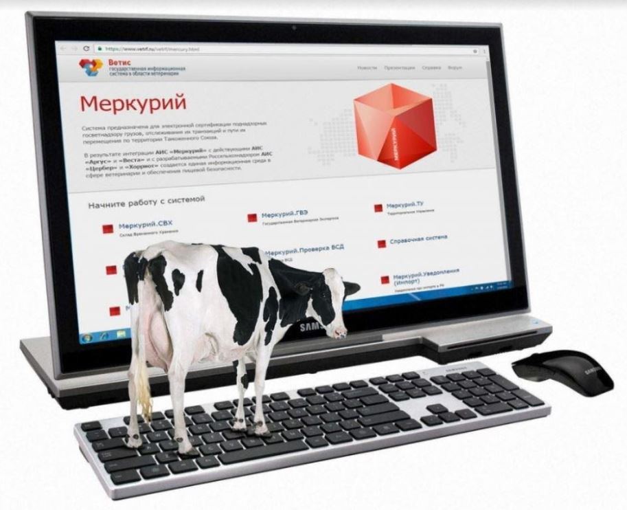 Qyzylordada «Mobi-VET» mobıldi qosymshasy ázirlendi