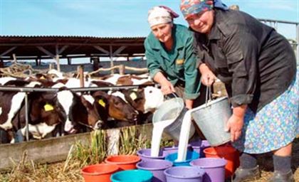 Aýyl áıelderiniń róli aıryqsha ataldy 