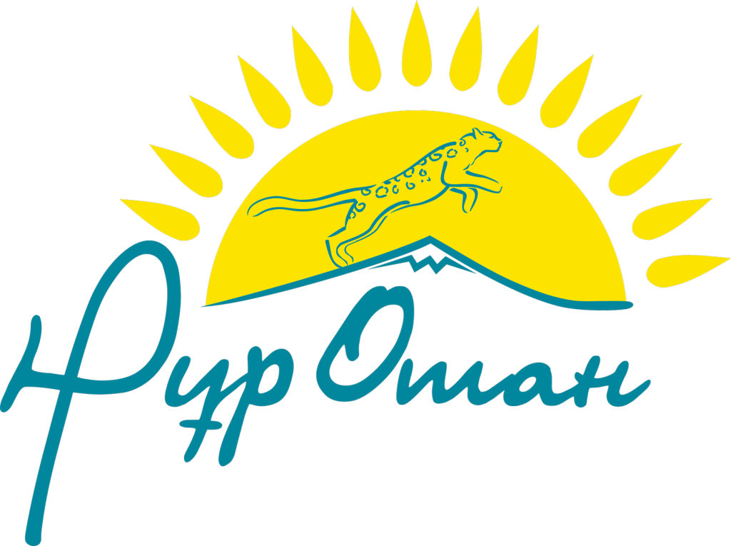 Elbasynyń mádenıet salasyndaǵy memlekettik stıpendııasyn berý týraly ókim