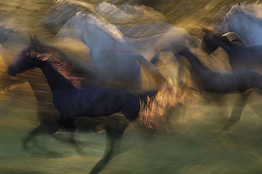 Barymtashylar nege basynady?