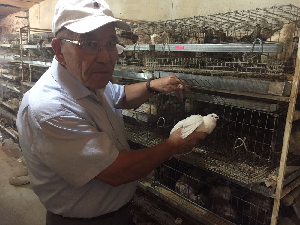 Bódene sharýashylyǵynyń bási joǵary