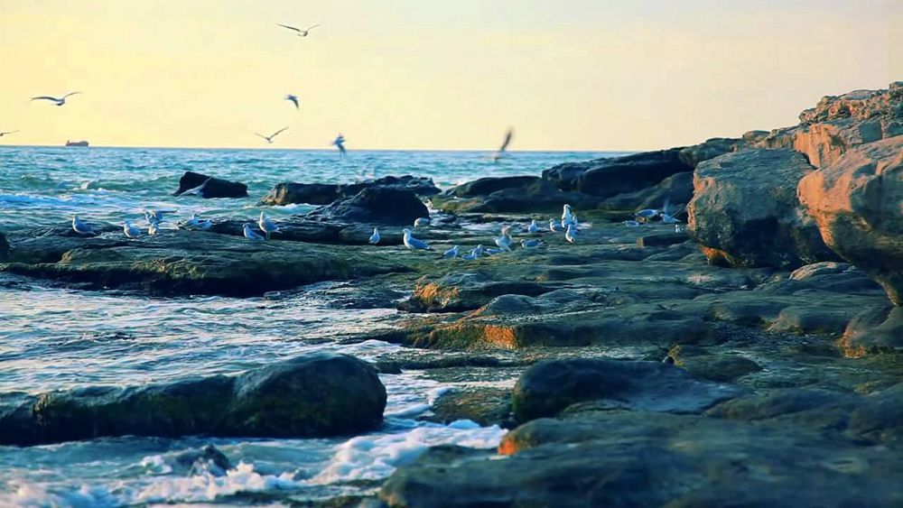 Kaspıı konvensııasynyń mańyzy ýaqyt ótken saıyn arta beredi