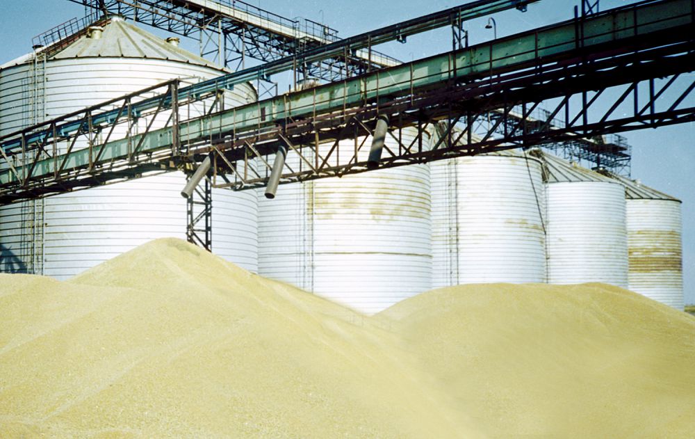 Pavlodar oblysynda astyq ta, kókónis te mol