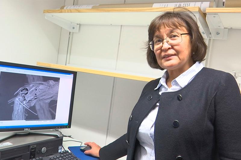 Qazaq ǵalymy Shvesııada sý tazartýdyń ekologııalyq taza ádisin oılap tapty