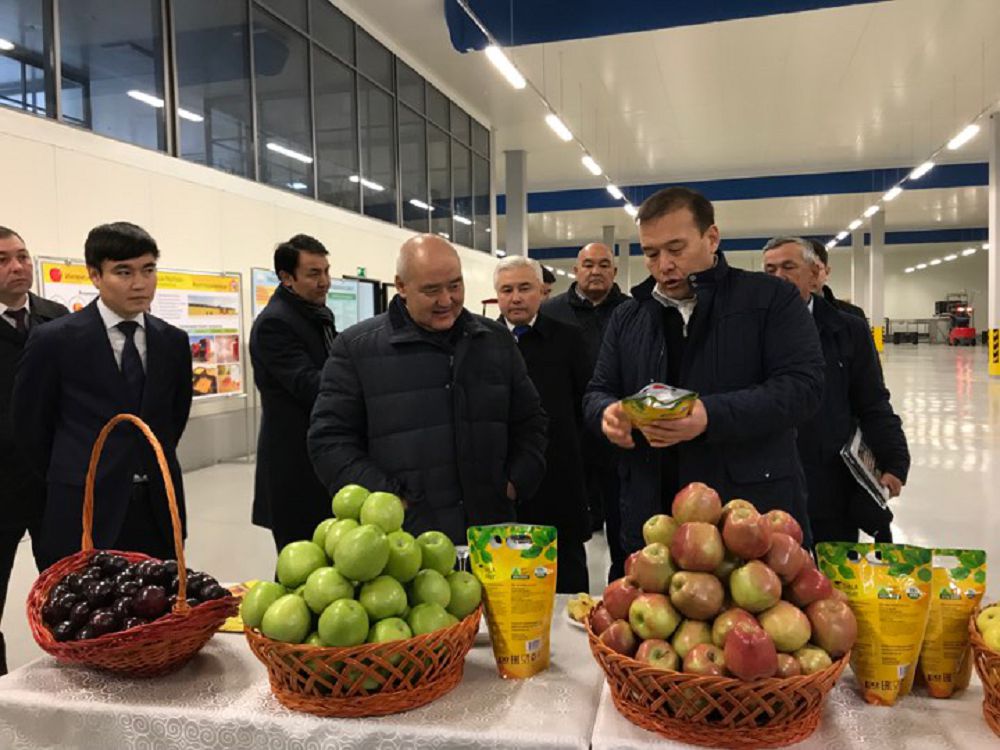 О́nimderdi eksporttaý ulǵaıady