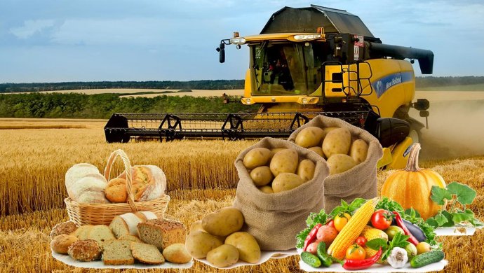 Pavlodar oblysynda aýylsharýashylyq kooperatıvteri jabylady